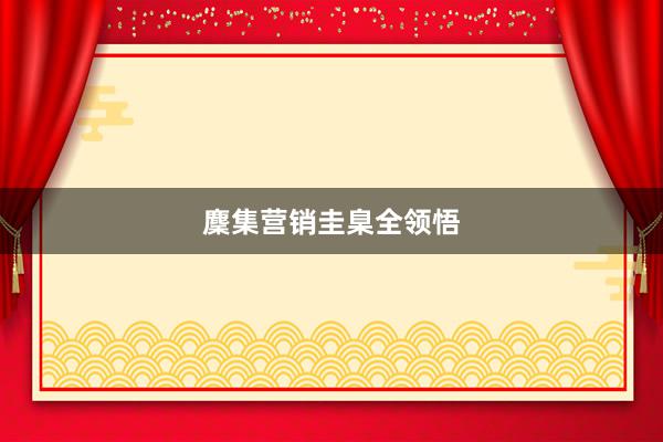 麇集营销圭臬全领悟